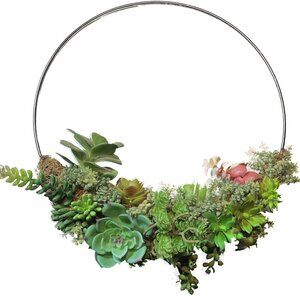 Hoops  Two Decorative Hoops with Synthetic Plant Hoops